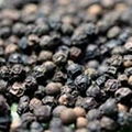 Black Pepper  1