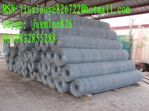 hexagonl wire netting 2