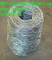 barbed wire for sell