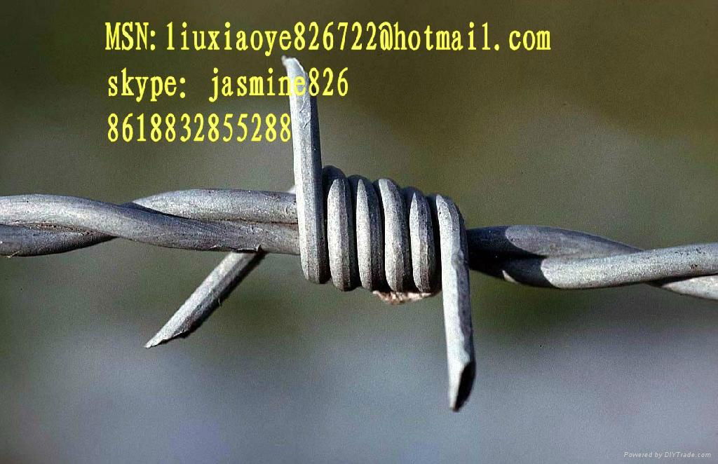 barbed wire for sell 3