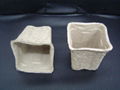 flower pots  ---disposable and biodegradable  