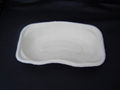 kidney trays ---biodegradable in recycled waste paper  1