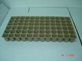 peat pots ---72 cells  3