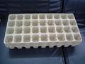 seeding insert  ---36 pcs   biodegradable  1