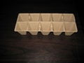 peat pot ---10 pcs -- biodegradable  1