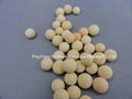 Ceramic Refractory Ball 1