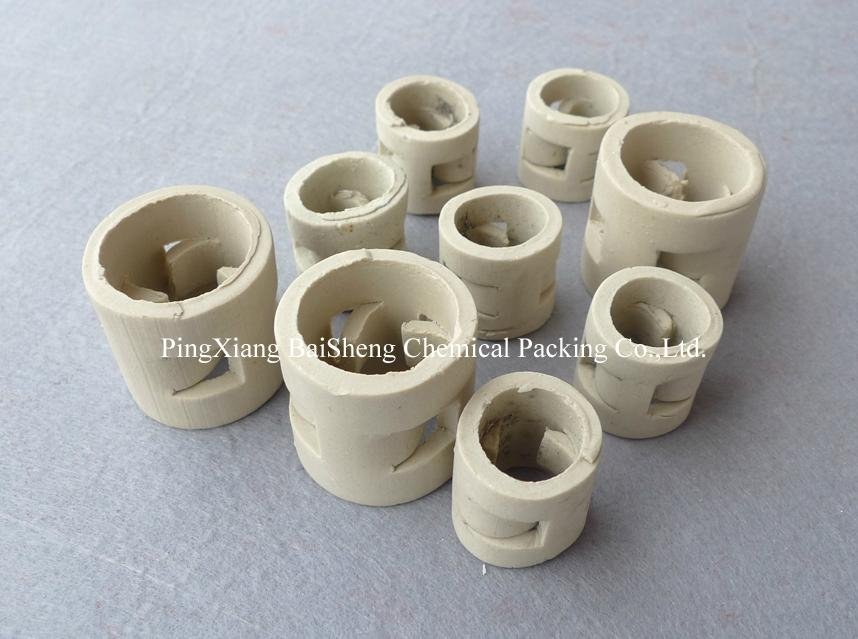Ceramic pall ring