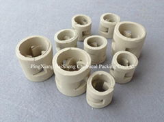 Ceramic pall ring