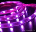 SMD(3528) LED LIGHT STRIP