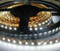 SMD(3528) LED LIGHT STRIP