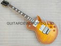 gibson les paul standard Floyd rose