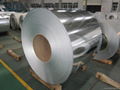 Hot dipped galvalume steel coils with protection film 1