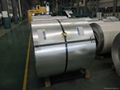 Hot dipped galvalume steel coils with protection film 2