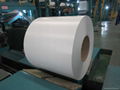 Hot dipped galvalume steel coils with protection film 4