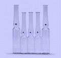 10ml clear glass ampoules vials 2