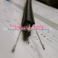 Indoor Crane Pendent Control Station Cable  1