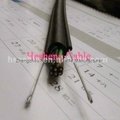 Indoor Crane Pendent Control Station Cable 