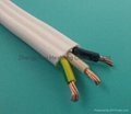 AS/NZS5000 STANDARD FLAT TPS CABLE 