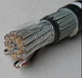 500V 20 Pairs CU XLPE IS OS SWA PVC Intrumentation Cable 1