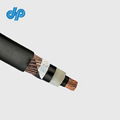 10kv 20kv 30kv N2XSY NA2XSY XLPE Power Cable 2