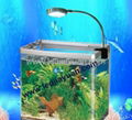 JY-0103 高檔精美設計魚缸裝飾小夾燈 2