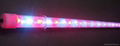 T5 LED Aquarium Waterproof Tube underwater light with one row lamp IP68 1