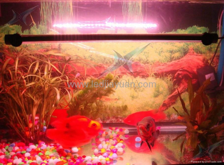 LED underwater tube light arowana light growth light aquarium lighting