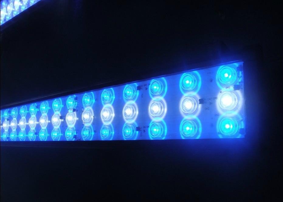 led aquarium light high power light for maine aquarium 2