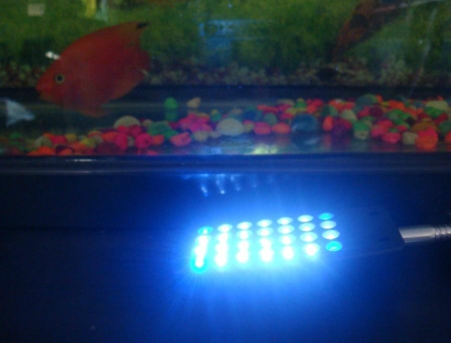 JY-28 mini aquarium clip lamp 3