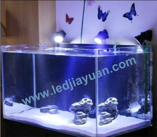 LED amphibious aquairum spotlight