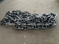 Stainless steel anchor chain