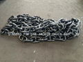 Stainless steel mooring chain