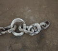Shackle and chain assembly