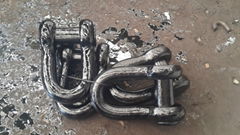 Anchor shackle