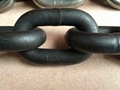 EN818-2 lifting chain