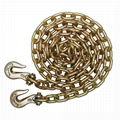 Lashing chain with hook