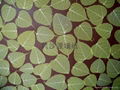 Leaves wallpaper 2