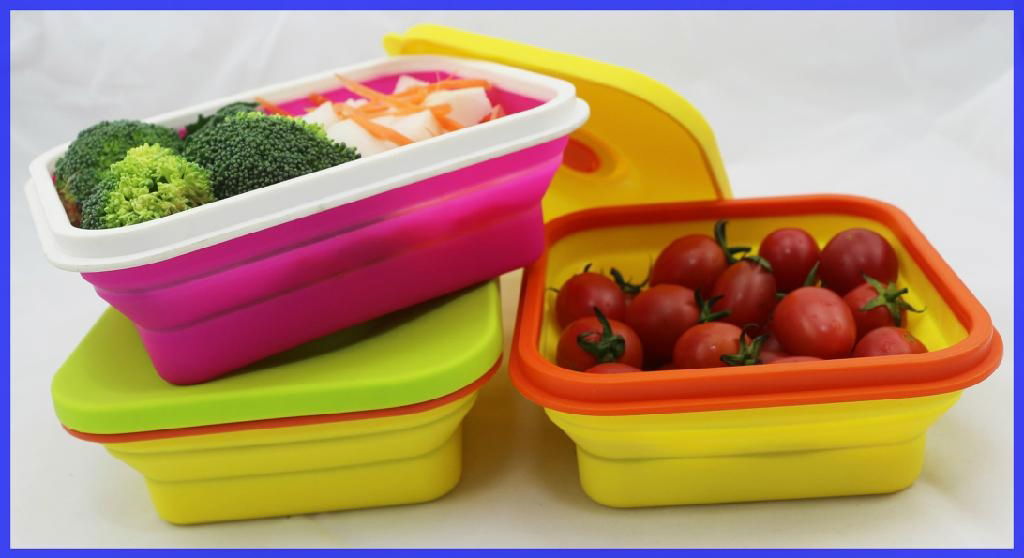 Silicone Collapsible Lunch Box Food Container Folding Bento Box 4
