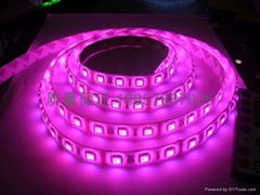 LED5050燈條