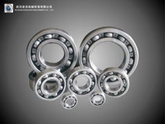 Deep Groove Ball Bearing 