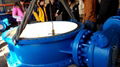 High Performance Butterfly Valve- Double