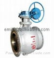 Doulbe Eccentric Segment Half Ball Valve  1