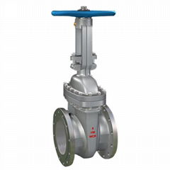 Wedge gate valve