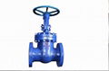 Wedge gate valve