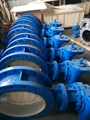 Spherical disc butterfly valve 4