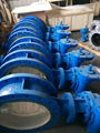 Spherical disc butterfly valve