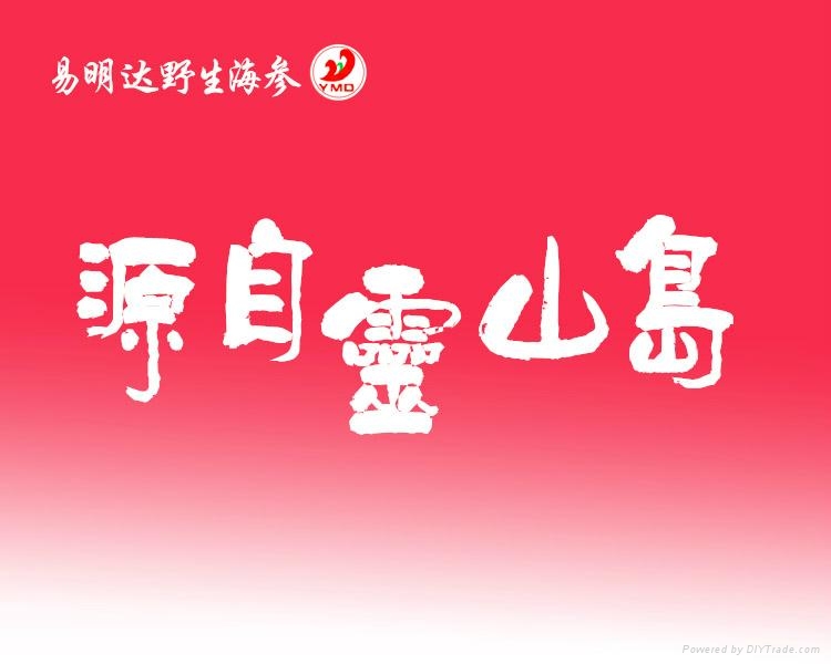 俄罗斯海参批发 2