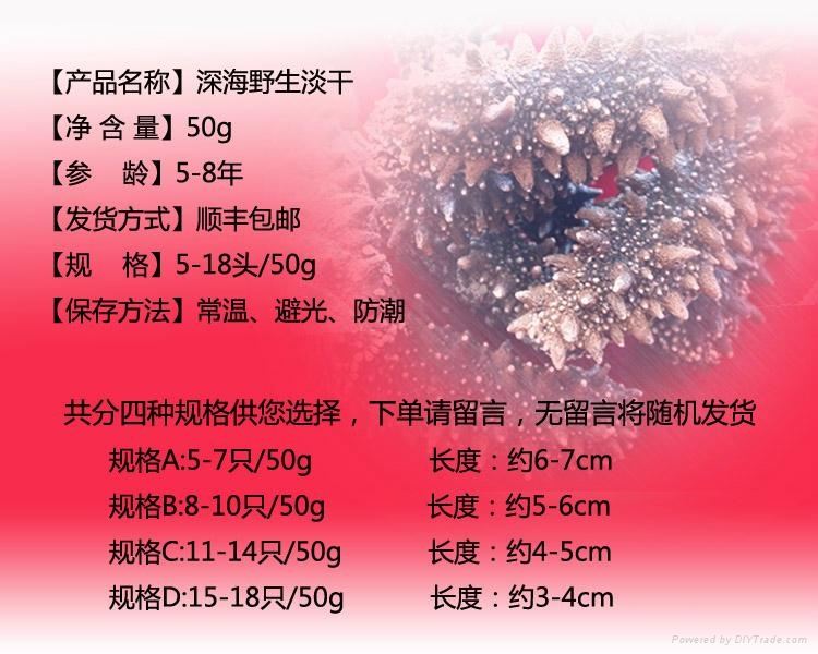 俄罗斯海参批发 5