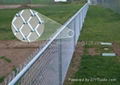 Chain wire Fencing