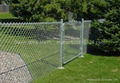 Chain wire Fencing